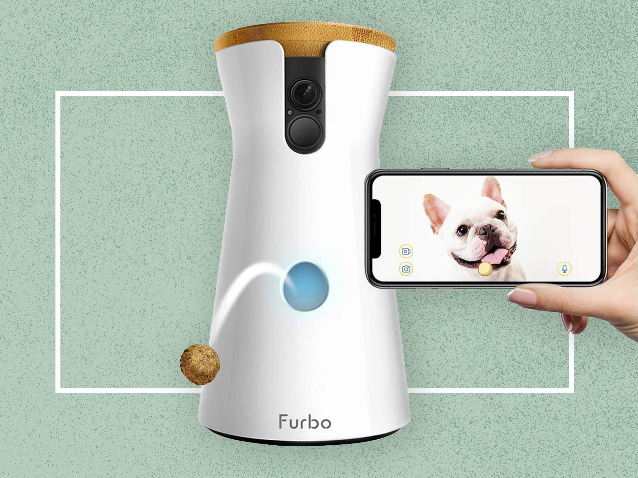 Best dog treat outlet camera